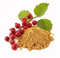 Schisandra fruit